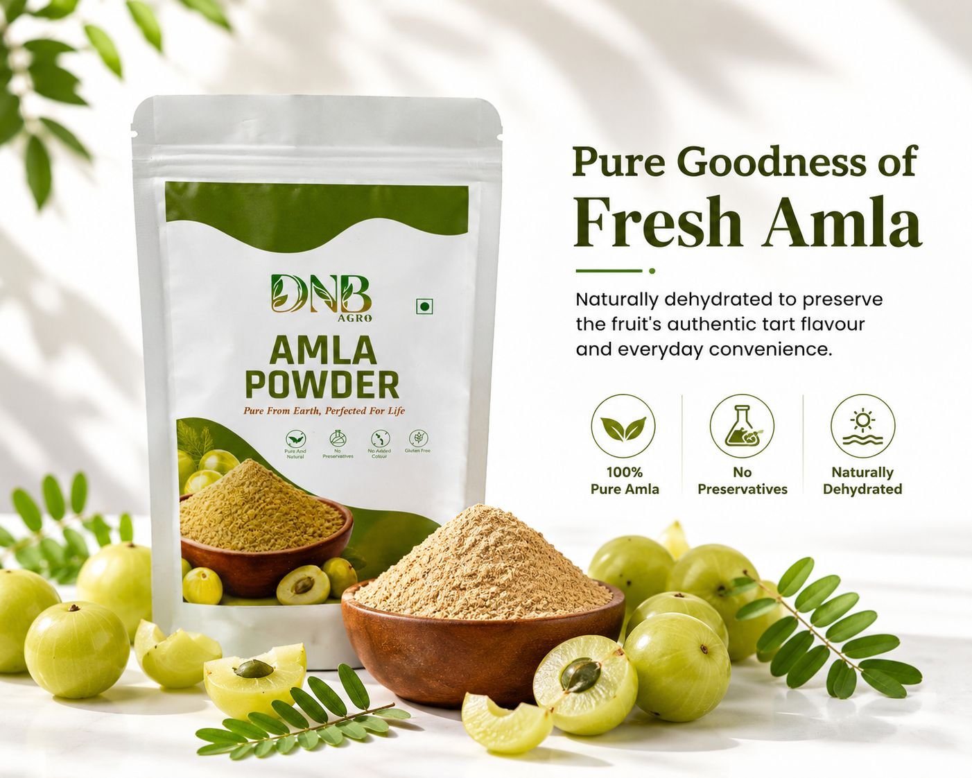 Amla Powder